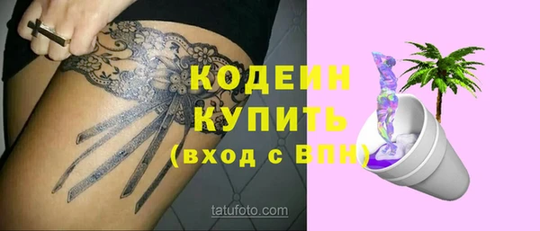 ECSTASY Богданович