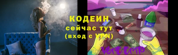 ECSTASY Богданович