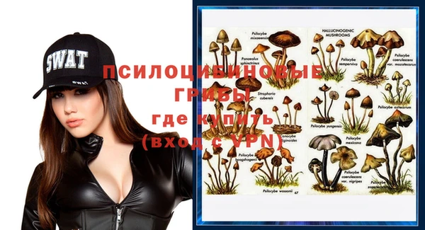 скорость Богородицк