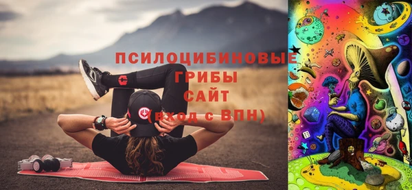 скорость Богородицк
