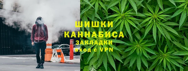 ECSTASY Богданович