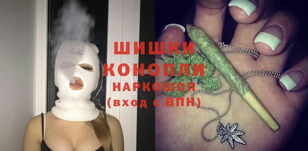 гашик Богородск