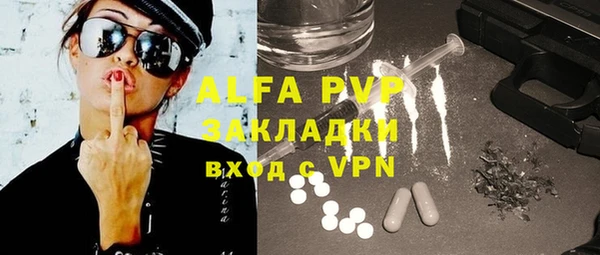ECSTASY Богданович