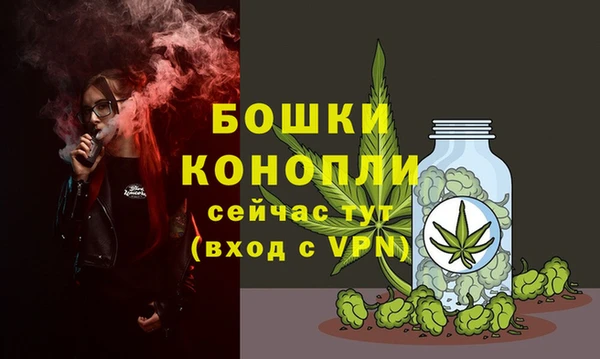 гашик Богородск