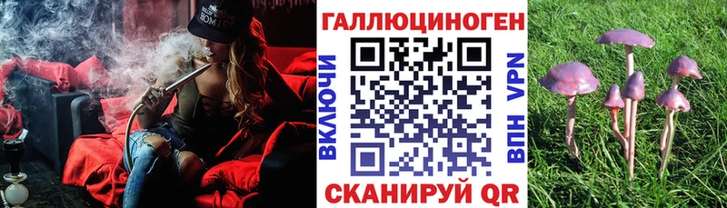 Псилоцибиновые грибы ЛСД  Купить где  Сокол 