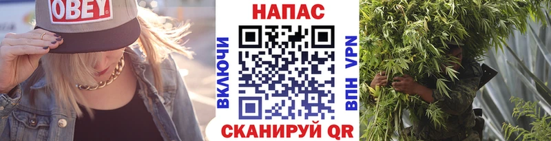 Купить где  Сокол  Бошки марихуана VHQ 